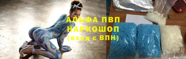 PSILOCYBIN Козельск