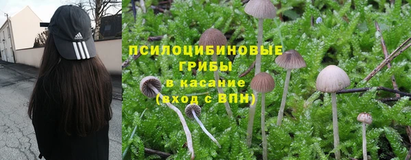 PSILOCYBIN Козельск