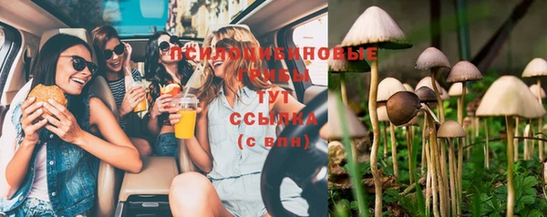 PSILOCYBIN Козельск